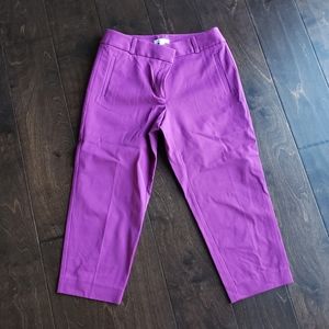 Loft magenta purple cropped chino pants